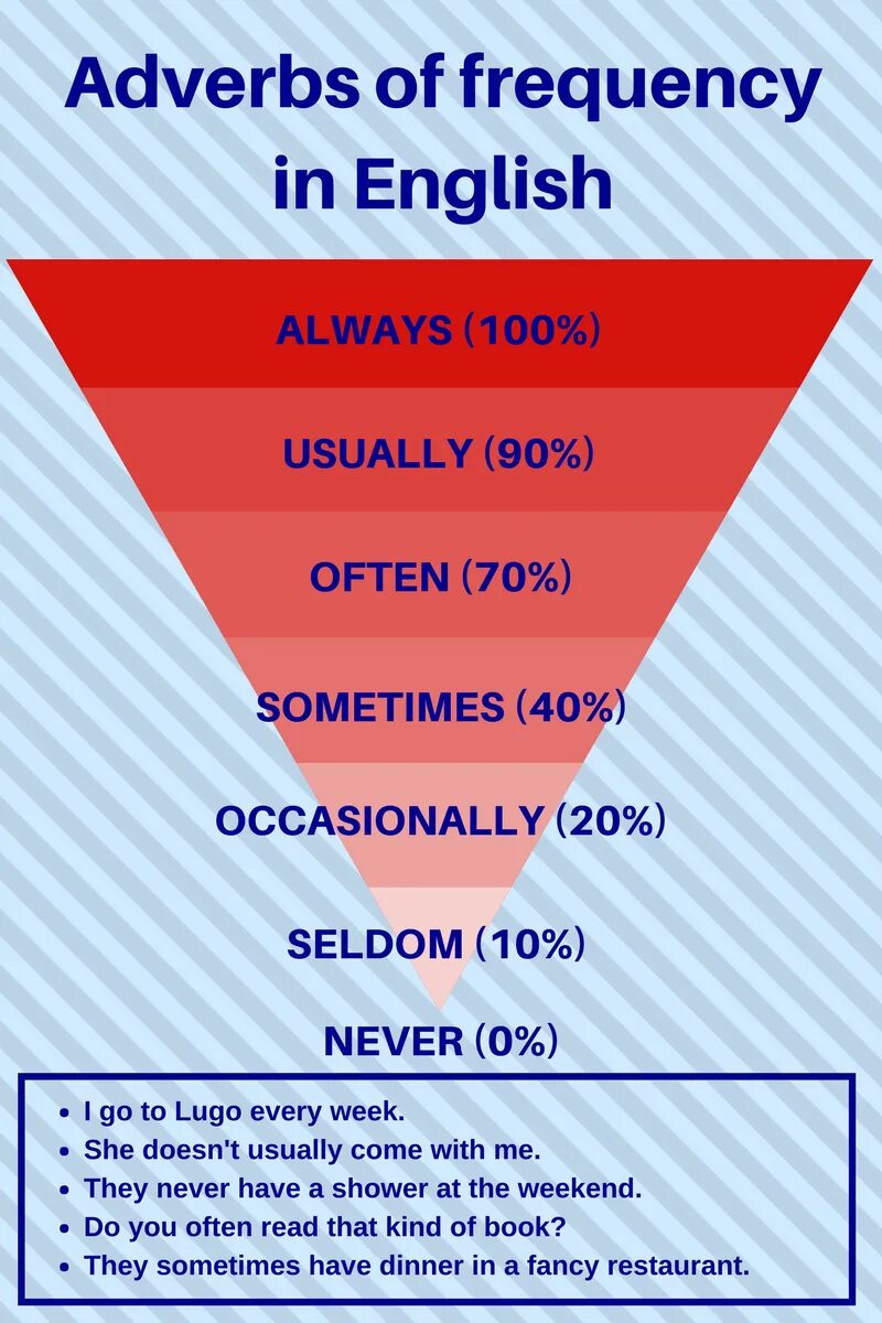 Предложения с often. Слова always usually sometimes often never. Usually место. Adverbs of Frequency табличка. Seldom rarely отличия.