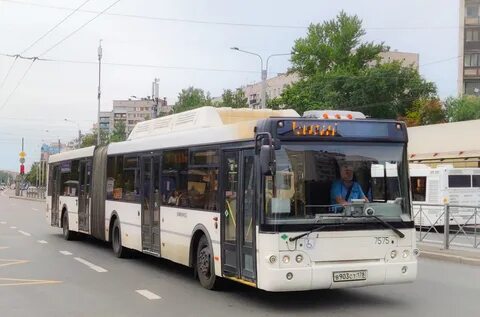 Автобус 145 спб