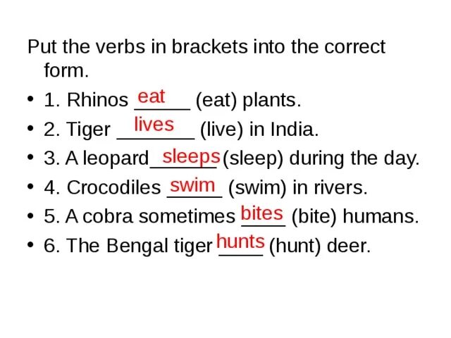 Put the verb in right form. Put the verbs in Brackets into the. Ответы put the verbs into Brackets in the correct form. Put the Verbsin breckets into the Cortect form. The verbs Brackets correct.