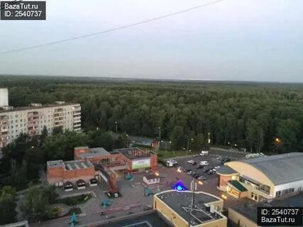 Троицк сиреневый