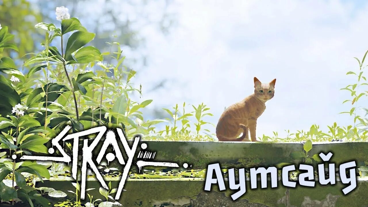 Stray игра концовка. Stray аутсайдер кот. Финал аутсайд котик СТРЕЙ. Концовка стрей