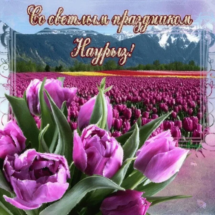 Наурыз поздравления на русском открытки. С праздником наурыз. открытки с праздником наурыз. открытки с праздником навруз. с праздником наурыз мейрамы.