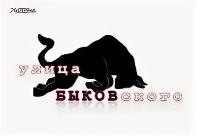 Гороскоп бык на 2024 год