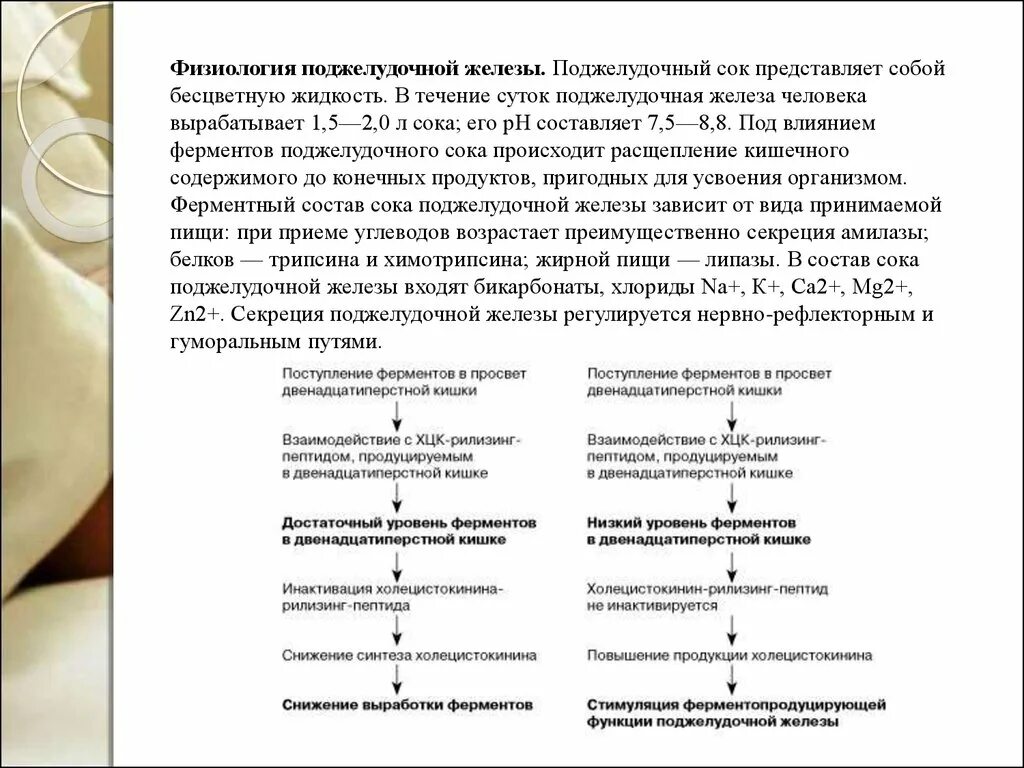 Поджелудочной железой вырабатываются ферменты. Физиологические функции поджелудочной железы. Физиологическая роль поджелудочной железы. Функции поджелудочной железы физиология. Физиологическая роль ферментов поджелудочного сока.