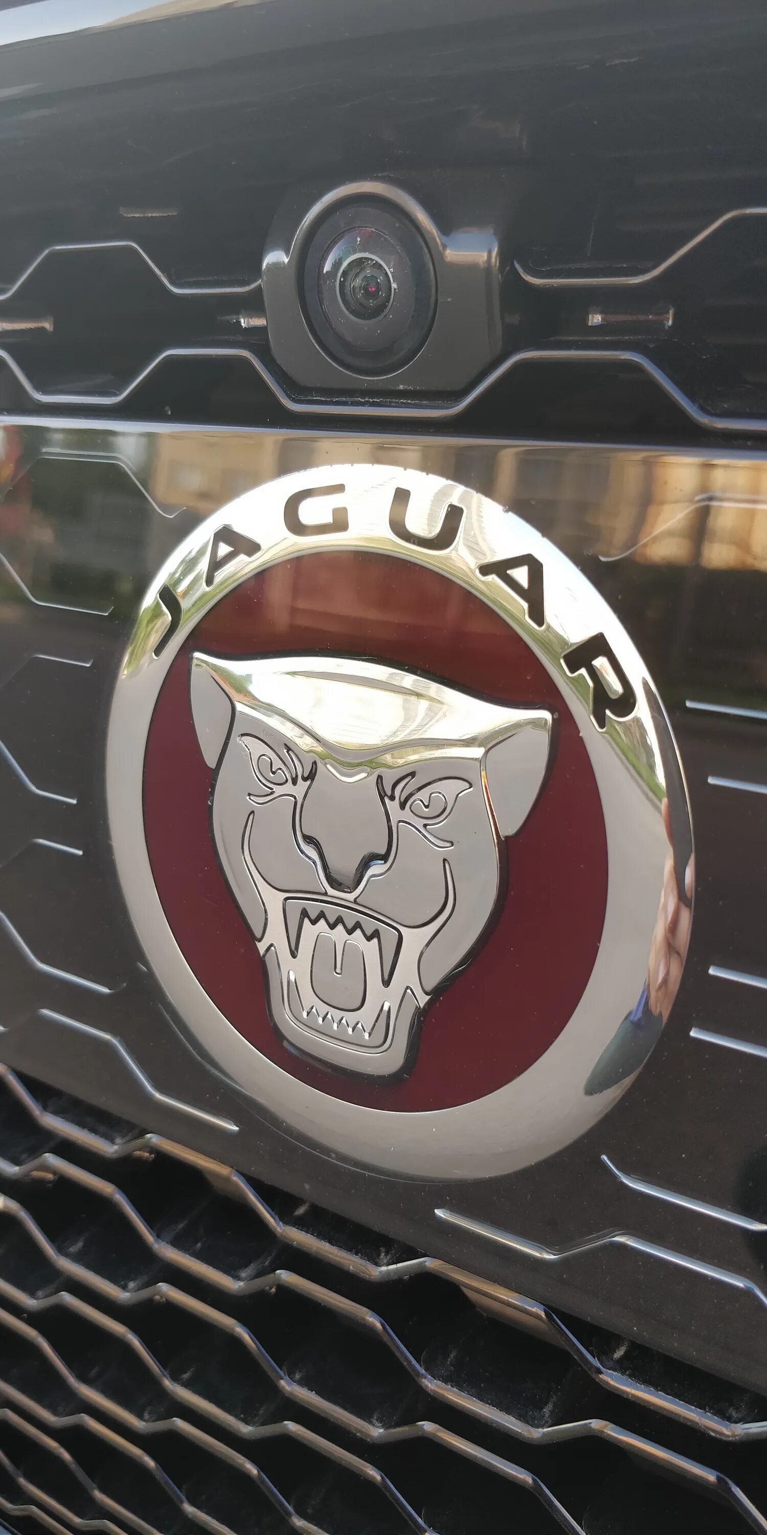 2016 Jaguar XF: First Drive Photo Gallery in 2023 Jaguar xf, Jaguar, Jaguar land
