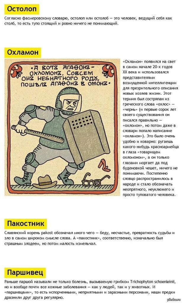 Остолоп это значение слова. Болван значение. Остолоп картинки. Балбес значение слова. Синоним к слову умница.