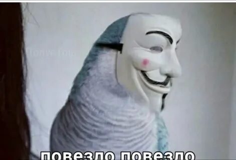 Ватафак я молодой тупак