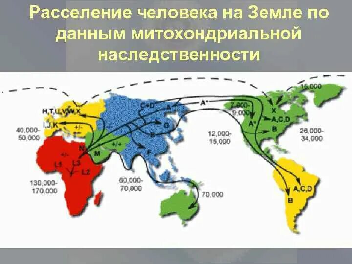 Как происходило освоение земли человеком