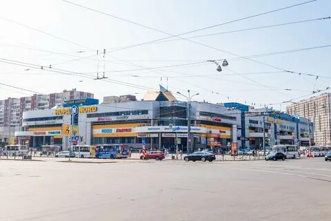 Проспект просвещения санкт петербург отзывы
