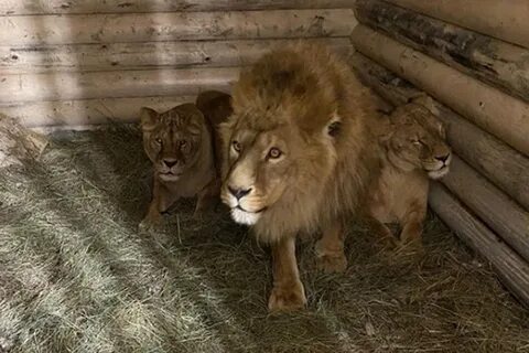Швейцария парк нижний зоопарк