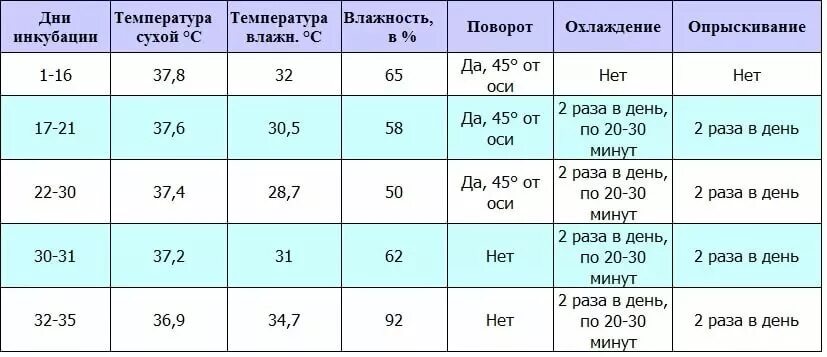 Какая температура должна быть при инкубации. Вывод индоуток в инкубаторе таблица. Таблица инкубации индоутиных яиц. Температура инкубации утиных яиц в домашних условиях таблица. Инкубация индоуток в инкубаторе таблица.