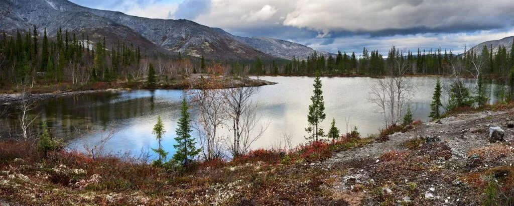 Март северо запад. Природа северо западного экономического района. тайга кольского полуострова. мусковит кольский полуостров. кольский полуостров, река печа.