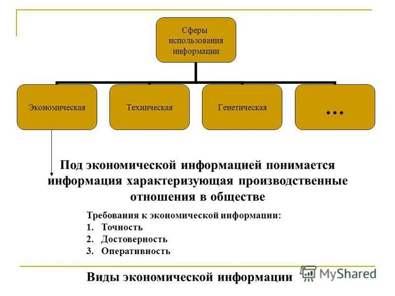 Экономическая информация характеризует