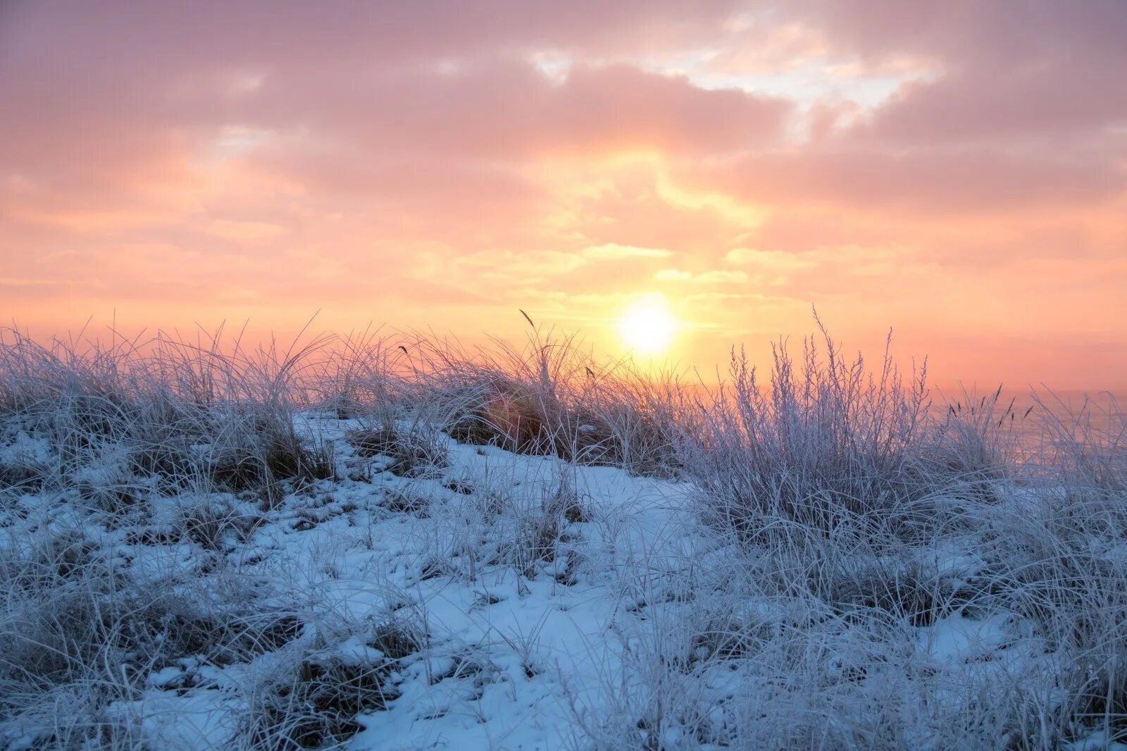снежное поле. холодная степь. зимний закат. степь зимой. степь эстетика ковыль.