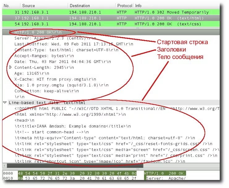 Протокол https www. Html протокол. Wireshark структура пакета. Протокол сайта. Структура request запроса.