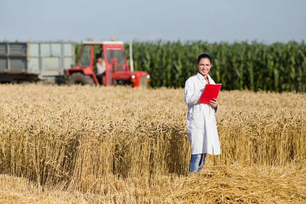 Практика аграрный. Практика аграрный. Сельское хозяйство агроном. Практика аграрный. Общежитие острогожского аграрного техникума.