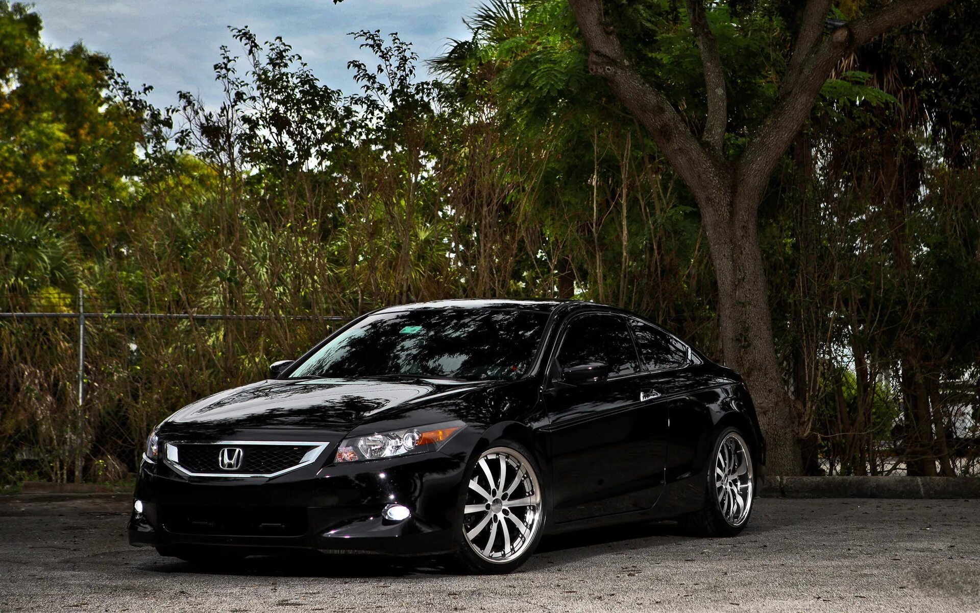 Accord imaging. Honda accord 8 black. honda accord 2011 black. honda accord 7.