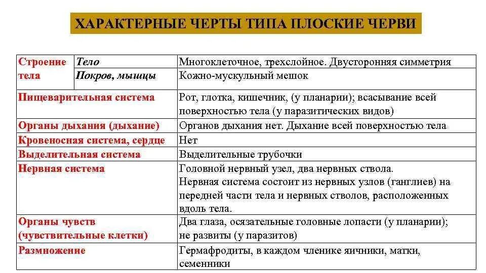 Основные характеристики плоских червей. Характерные черты организации типа плоские черви. Краткая общая характеристика плоских червей. Характерные черты организации плоских червей.