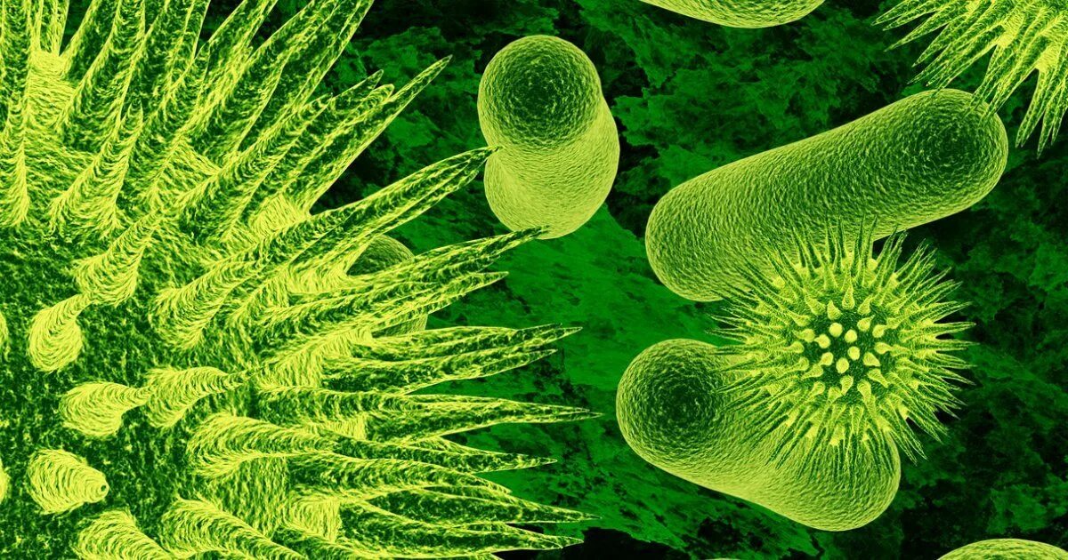 Первые живые организмы использовали. Первые бактерии. Первые микроорганизмы на земле. Древние бактерии. Первые бактерии на земле.