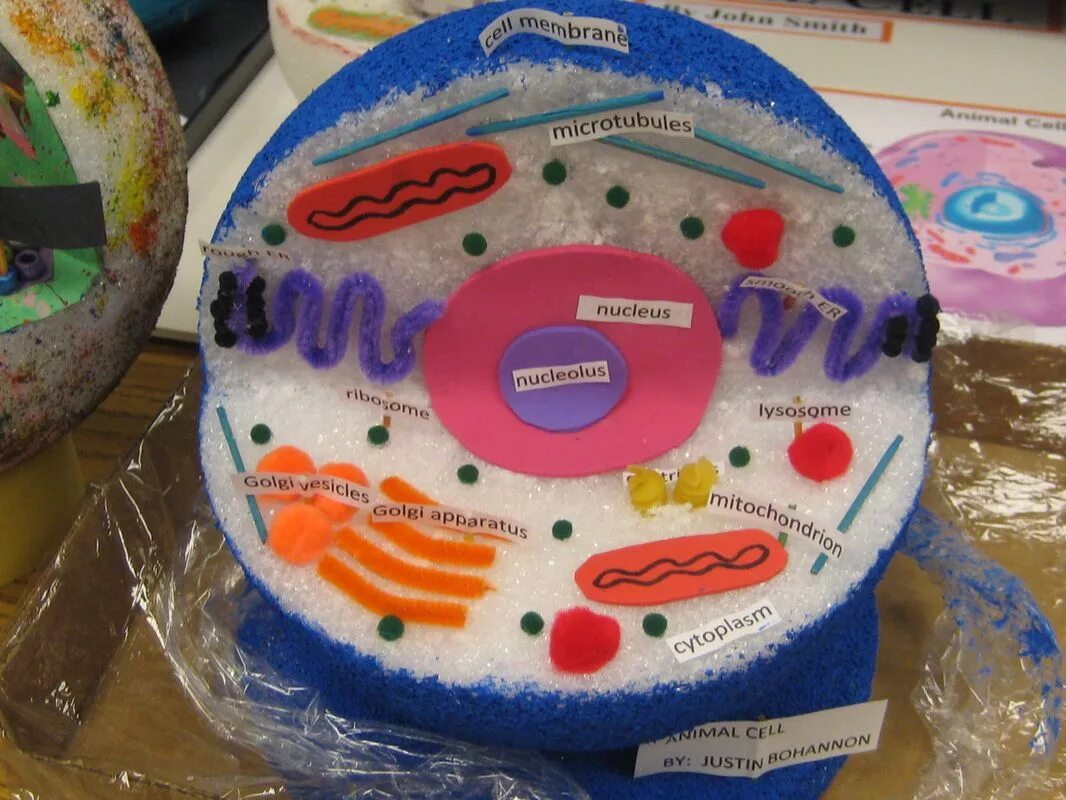 Cell project