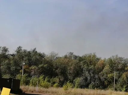 Погода в оренбургском селе на 10 дней
