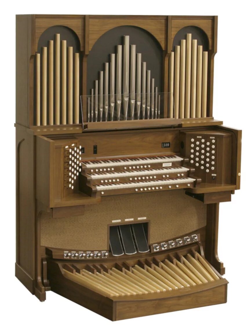 Organ. Орган клавишно духовой инструмент. Аркадион музыкальный инструмент. Органо музыкальный инструмент. Музыкальный инструменторшан.