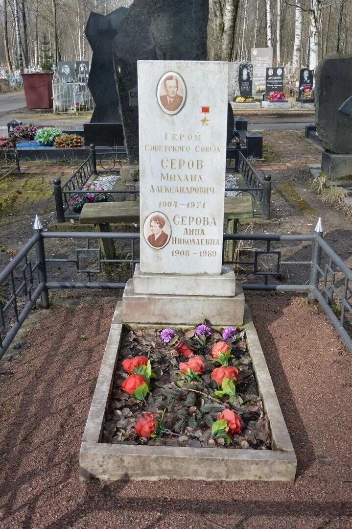 Могила Серова Валентина Александровича (1865-1911), г. Москва, Новодевичье кладб