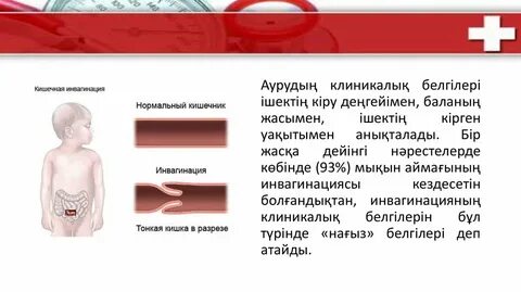 Менің әйелім жезөкше