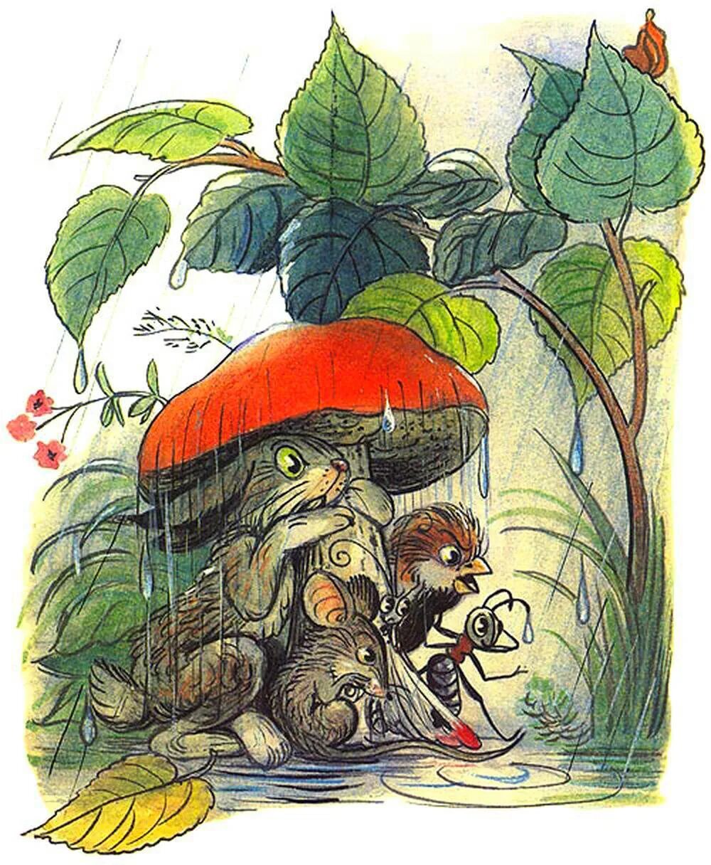 Сказки. Иллюстрации к сказке под грибом. Под грибом. Сутеев под грибом. В.