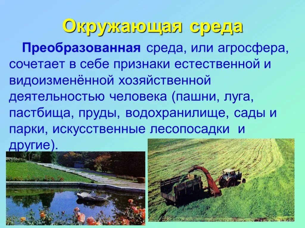 Преобразовывать окружающую среду. Защита окружающей среды. Природопользование презентация 10 класс география. Экологические конфликты. Воздействте человека на срежк обттач.