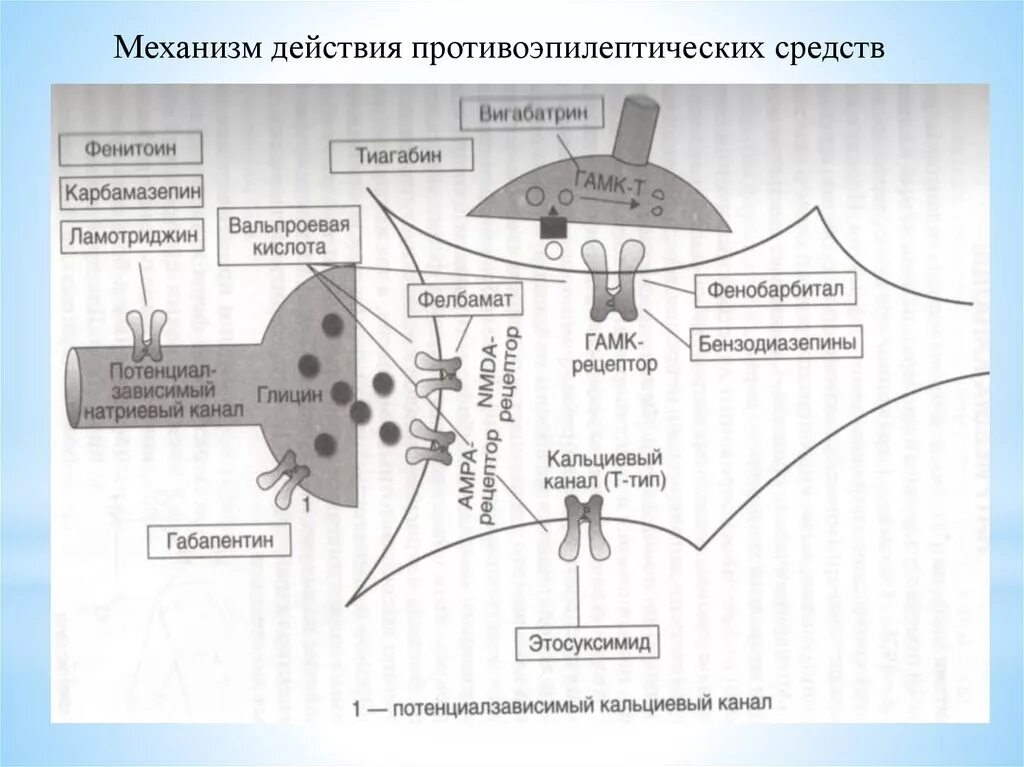 Механизм действия противопаркинсонических средств схема. Схема действия противоэпилептических средств. Противопаркинсонические препараты механизм действия. Механизм действия противопаркинсонических средств схема. Противоэпилептические препараты классификация фармакология.