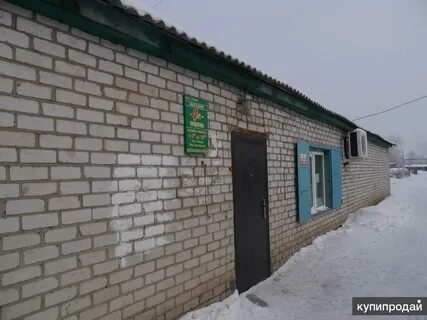 Шипуново инфо