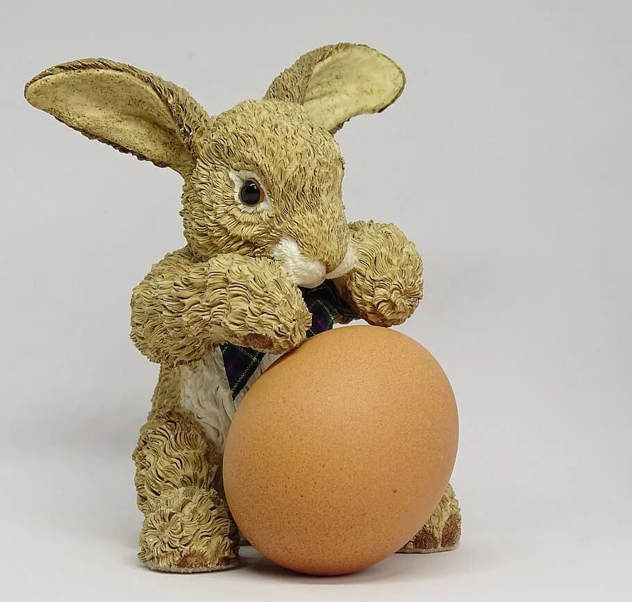 Rabbit egg