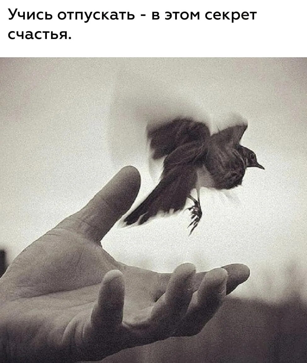 Цитаты про детей и родителей. Учись отпускать. Учитесь отпускать детей. Стихотворение дементьева не обижайтесь на детей. Девушка выпускает птицу.