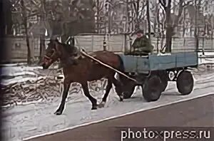 Солдаты с телегой времен Пушкина. Телега с Великом милиция. Валялась под солдатской телегой.