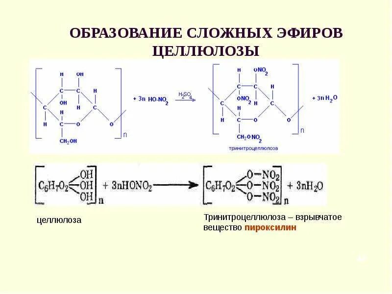 Целлюлоза сообщение по химии