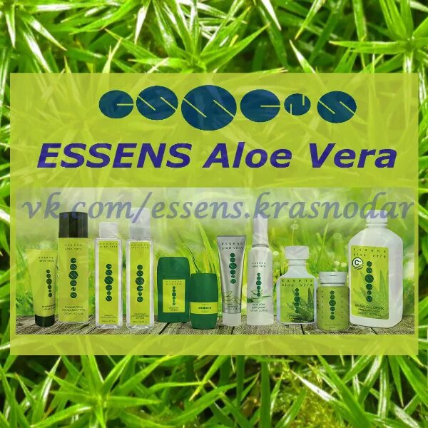 Эссенс работа. Продукция фирмы Essence. Essence товары. Чешская косметика Эссенс. Компания Эссенс Чехия.