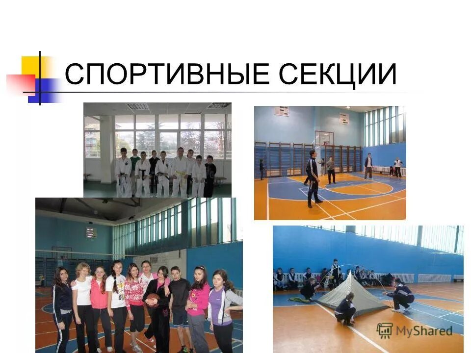 Гимназия 11 королев. Школа новосибирск гимназия 11. Программы в гимназии. Программы гимназия 11. Программы в гимназии.