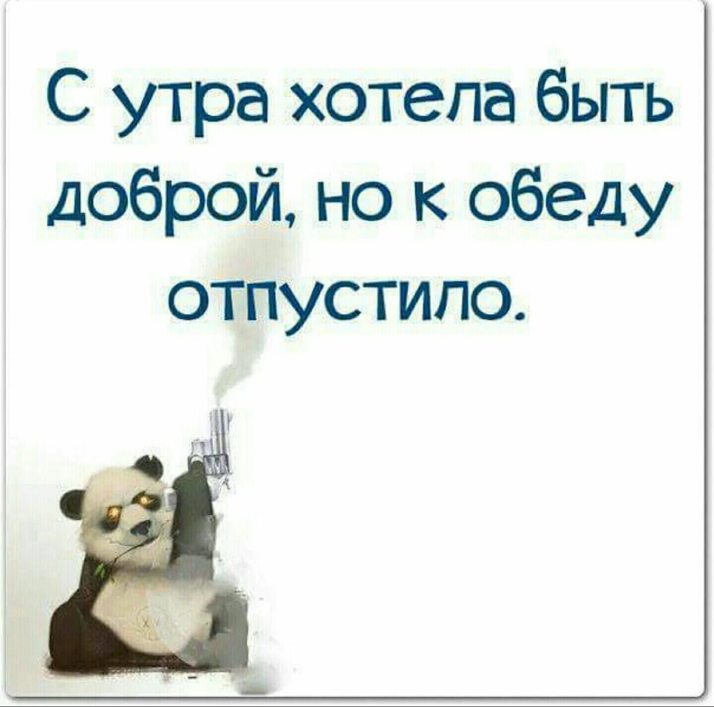 Жизнь научила меня отвечать взаимностью. С утра хотела быть доброй,к обеду отпустило. С утра хотела быть доброй но к обеду. Добрые поступки. С утра хотела быть доброй,к обеду отпустило.