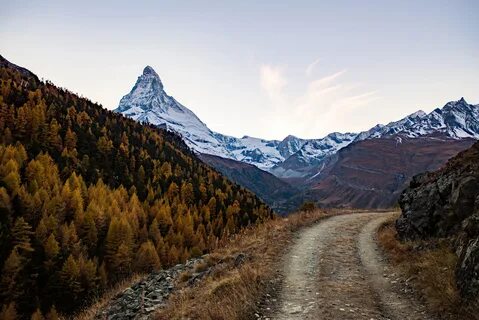 Mount path