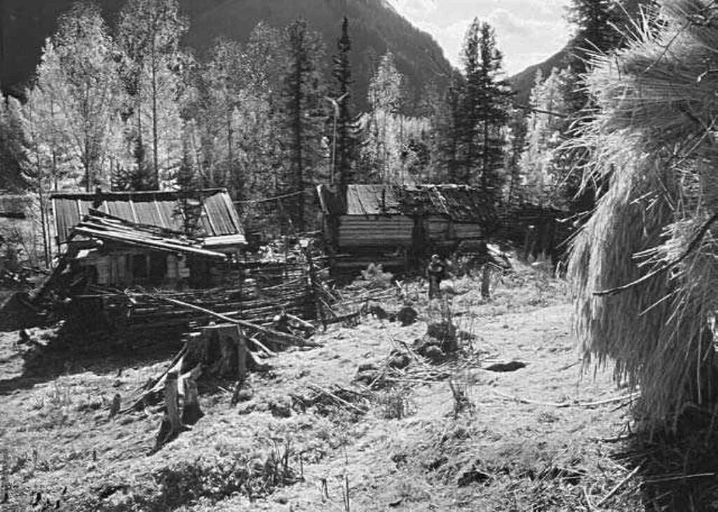 Семья староверов в тайге лыковы. Лыковы в тайге история. Старообрядцы лыковы. Таежный тупик семья лыковых. Лыковы в тайге история.