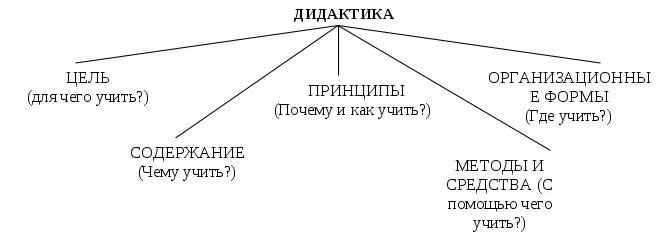 Дидактика основные категории