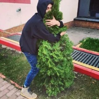 Парень куст