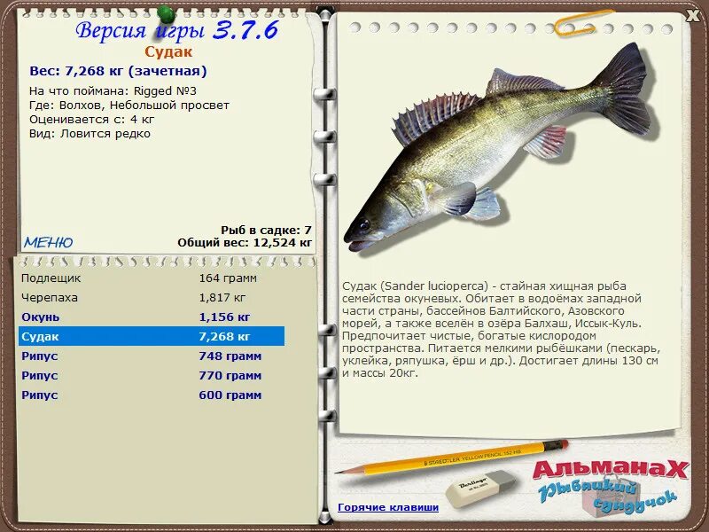 Где ловить судака. 7. Место стоянки судака на реке. Русская рыбалка 3 bear edition. Рыболовная база «русская рыбалка».