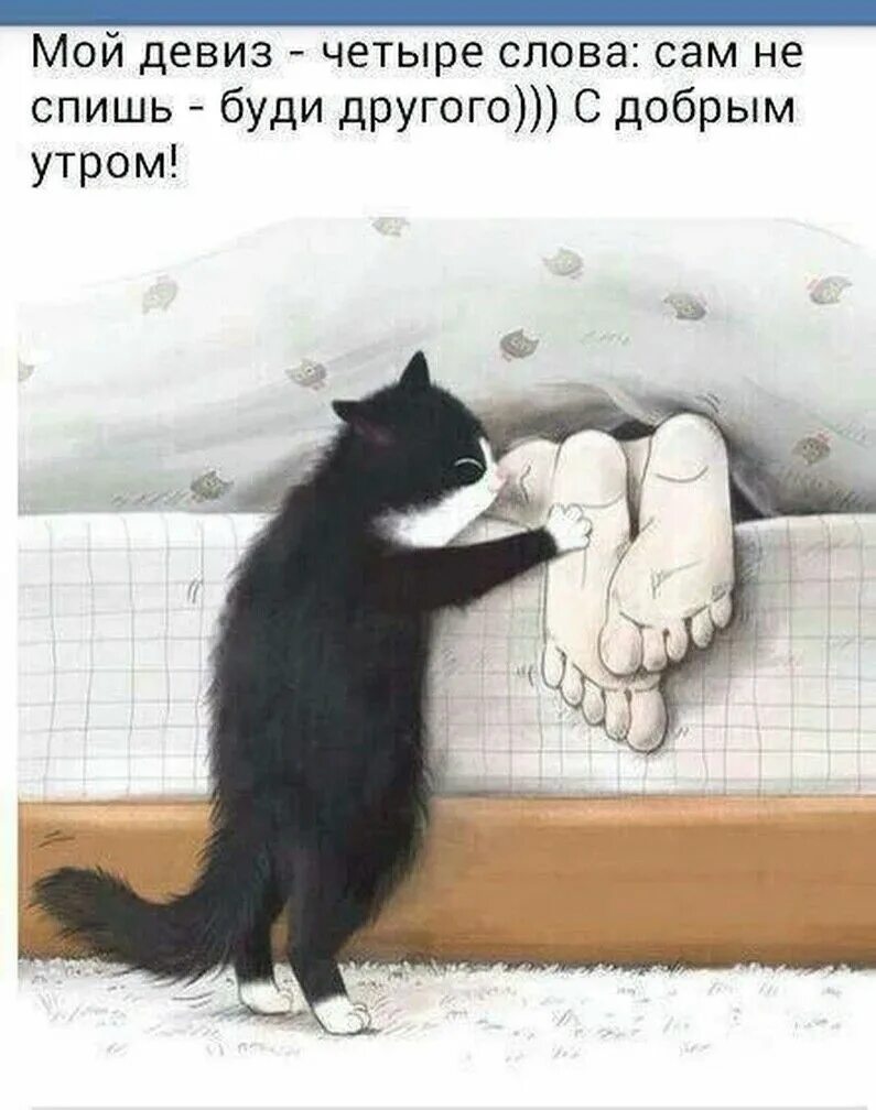 Доброе утро шутка картинки. С добрым утром юмор. доброе утро шуточные. шуточные картинки с добрым утром. прикольные открытки с добрым.