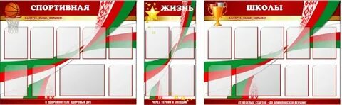 Спортивная жизнь школы