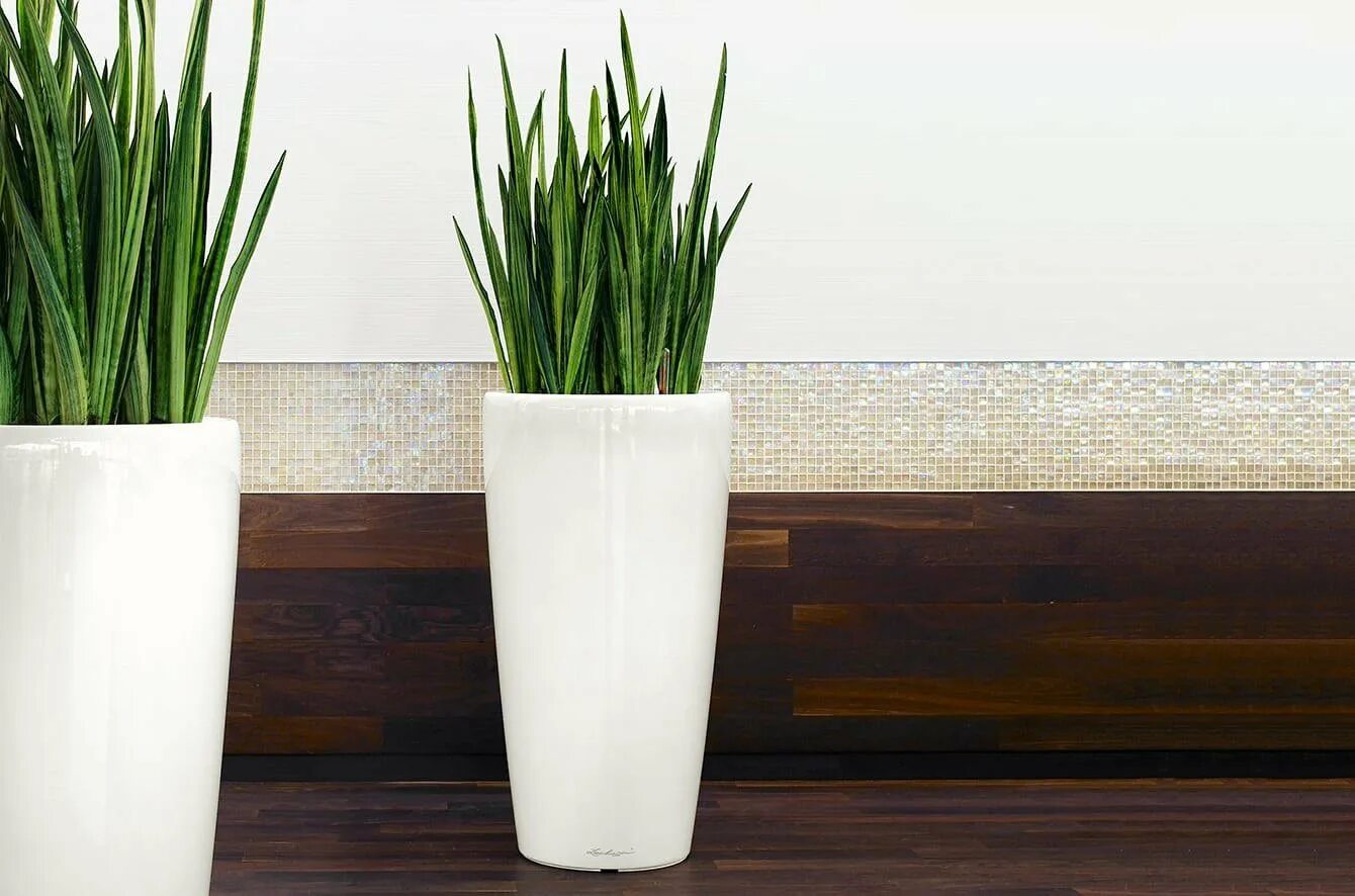 Кашпо set 2 planter golden metal. Замиокулькас + lechuza. Продолговатые горшки для цветов. Кашпо длинное. Прямоугольный горшок.