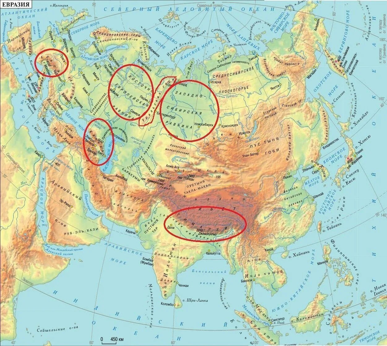 Равнинные и горные страны