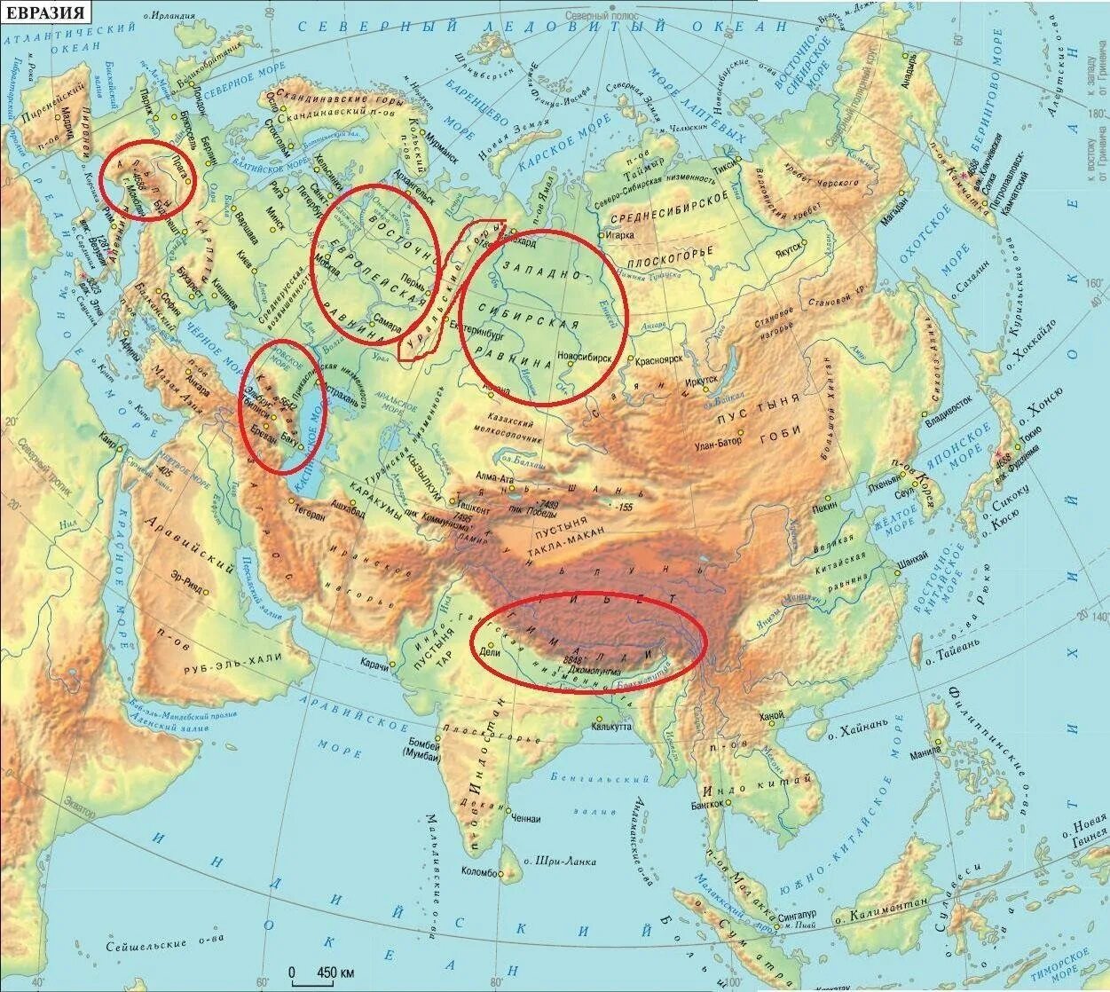 Евразия горы нагорья Плоскогорья на карте. Физическая карта Евразии горы и равнины. Формы рельефа Евразии. Рельеф Евразии Гималаи.