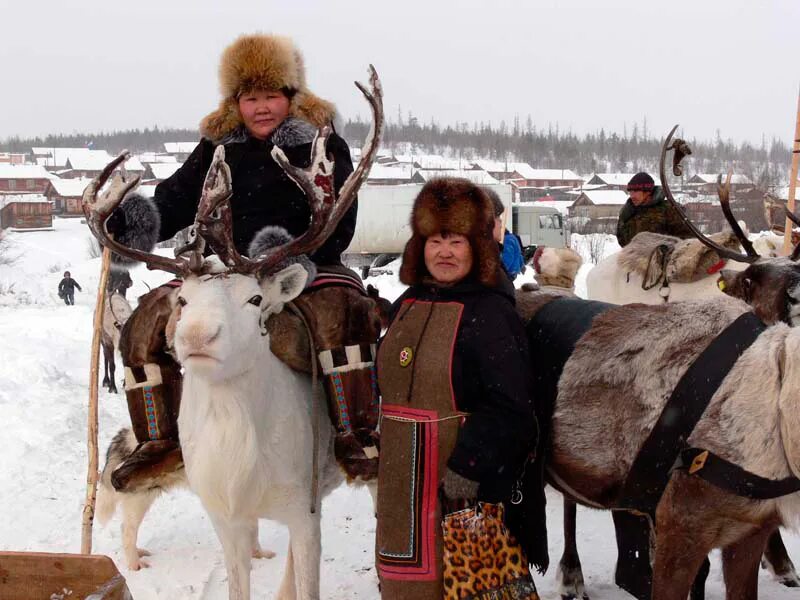 Долганы восточная сибирь. Долганы хейро. Долганы коренные народы. Долганы коренные народы. Ненцы, нганасаны, долганы, энцы.